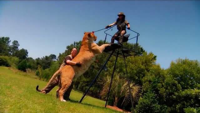 世界上最大的狗巨型（世界上最大的狗巨型视频）