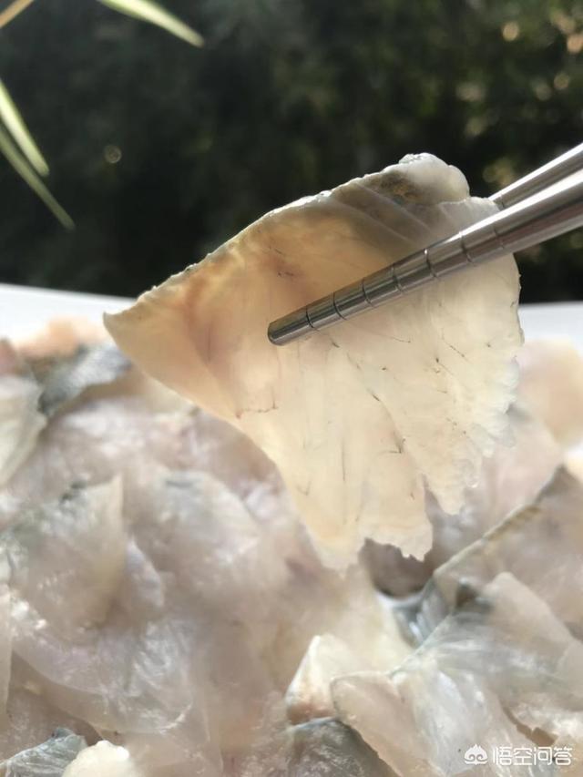 蒸海鲈鱼的做法窍门（清蒸海鲈鱼做法）