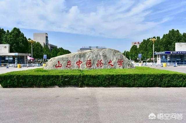 山东中医药大学大数据专业（山东中医药大学吧大数据）