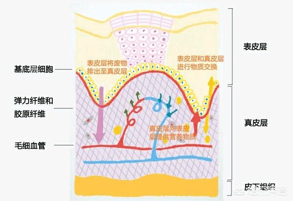 benefit贝玲妃去黑眼圈眼霜7.5g（贝玲妃去黑眼圈眼霜）