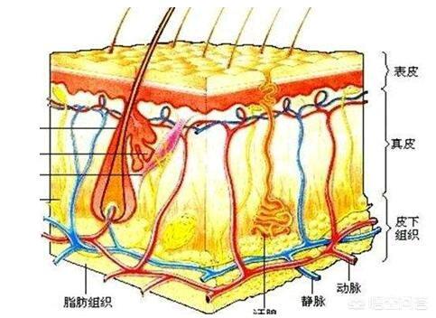 benefit贝玲妃去黑眼圈眼霜7.5g（贝玲妃去黑眼圈眼霜）