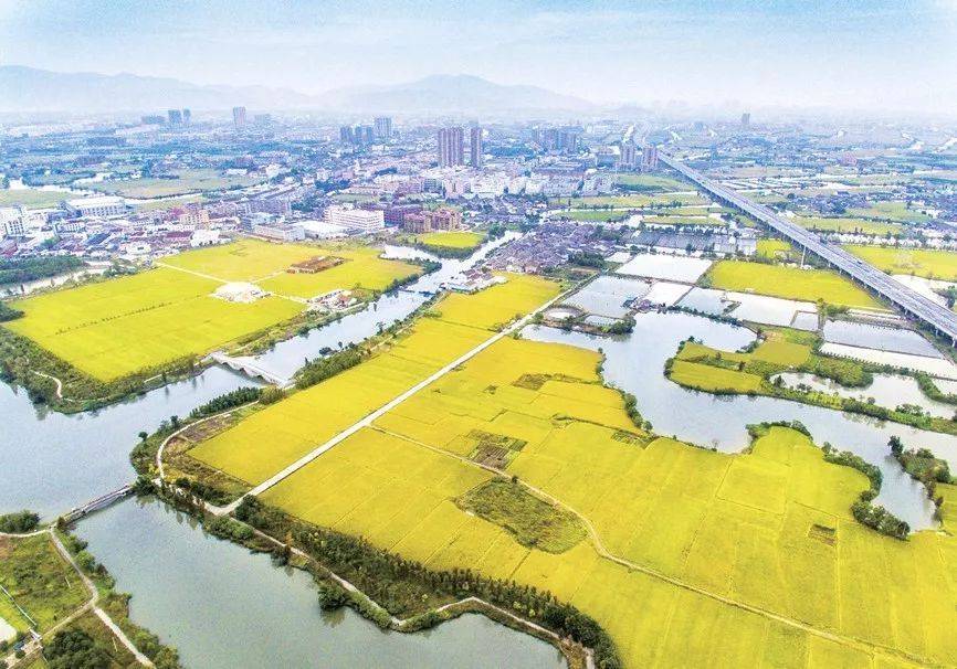 温州人口第一大县市，常住人口152万人，面江临海山清水秀
