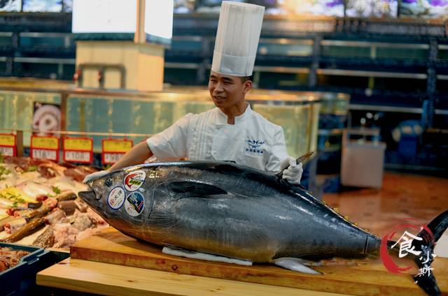 蓝鳍金枪鱼在日本有多受欢迎？1条鱼卖出2000多万人民币