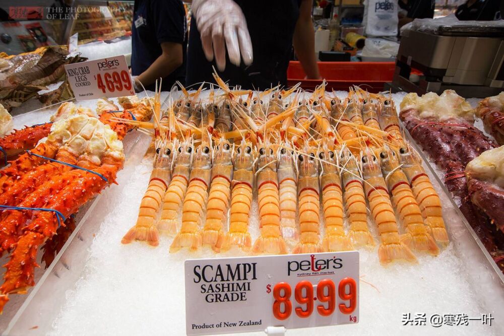 6千一只皇帝蟹，8千一只大龙虾，澳洲高档海鲜中国人眼都不眨拿下