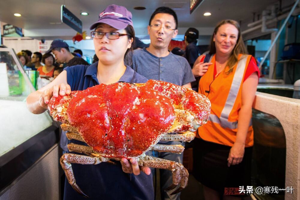 6千一只皇帝蟹，8千一只大龙虾，澳洲高档海鲜中国人眼都不眨拿下