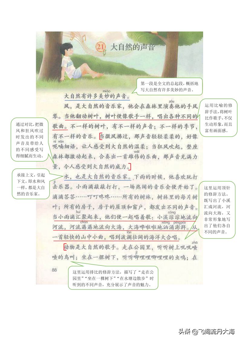 小学三年级上语文21课《大自然的声音》课堂笔记、教案及练习题