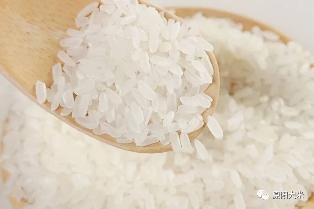 健康饮食 | 盐碱地种出来的弱碱大米