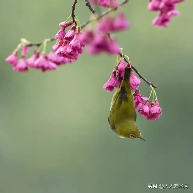 两千成语，头尾接龙！很有用