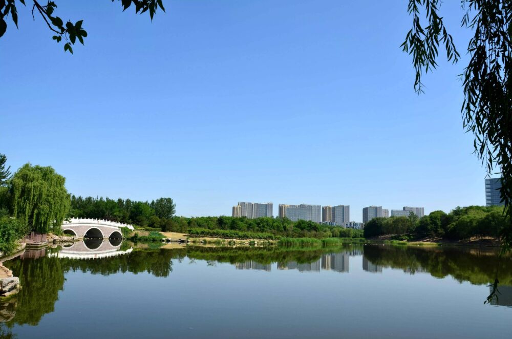 免费！北京一大公园，四个颐和园大，麋鹿成群，孔雀与人一同散步