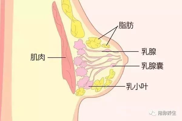 这10种病可能会遗传哦，要注意