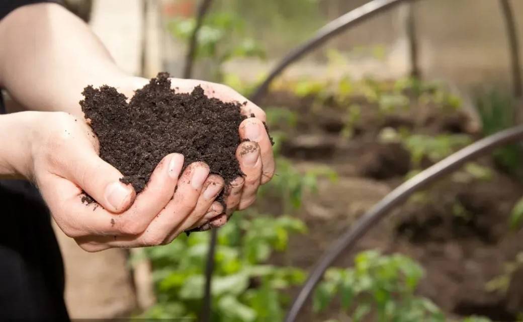 用这16种可以利用的厨余垃圾，家庭简易堆肥造出肥沃疏松的土壤