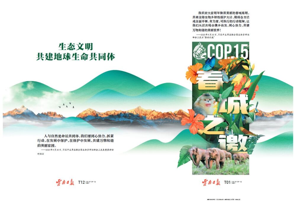 COP15今天开幕！云南日报推出12版特刊