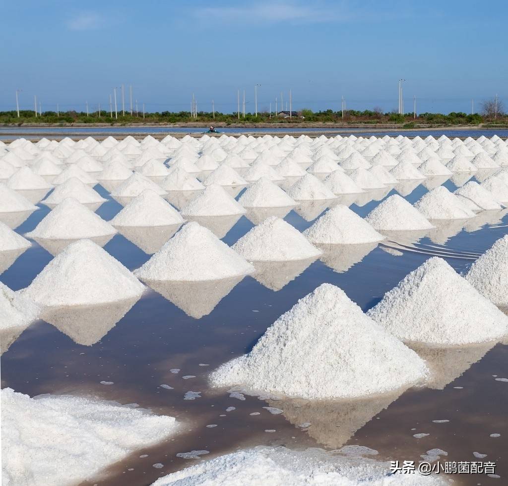 海盐是如何形成的