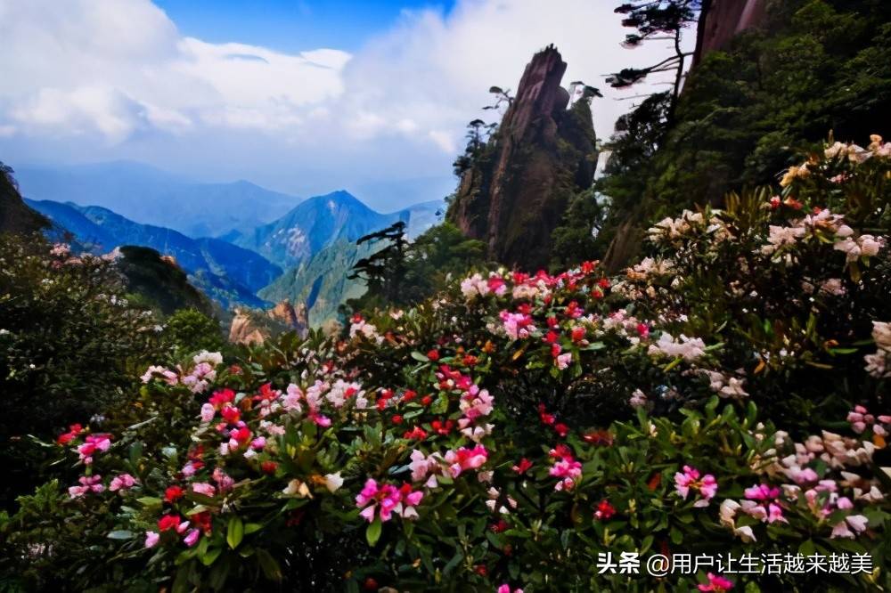 三清山真是一个风景优美的地方