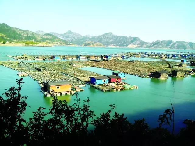福建连江，一个有电影质感和烟火气的海滨小城究竟有多美？