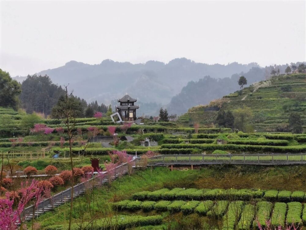 春暖花开，走遍吉首美丽乡村