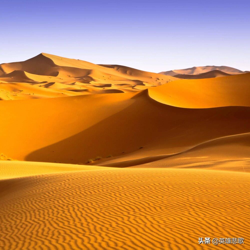 黄沙供不应求，价格暴涨，为何不到黄河里采沙或用沙漠中的沙子？