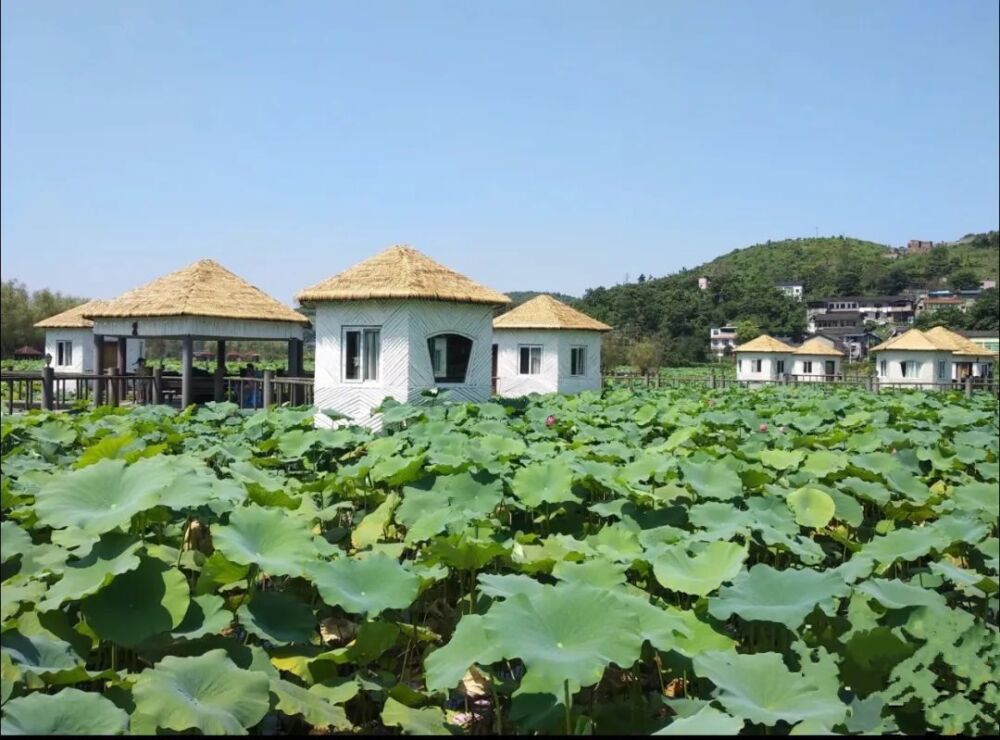 耍娃注意！重庆这些地方可以钓小龙虾