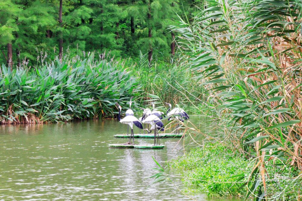浙江慈溪这个公园美极了，一年四季皆有风景，免费开放却游人稀少