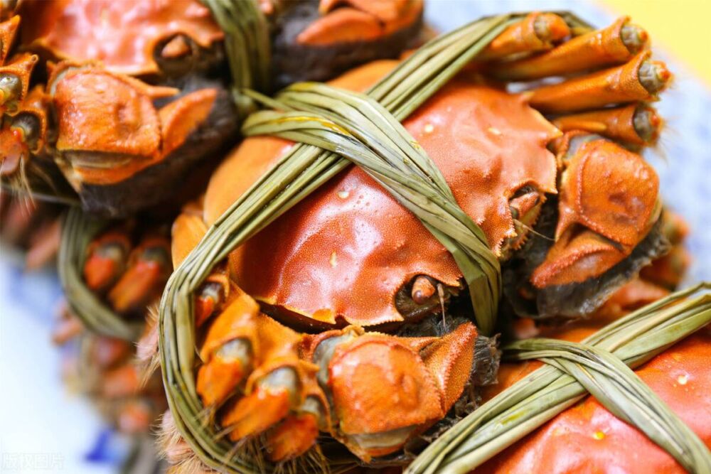 中国的“10大螃蟹产地”，不是只有阳澄湖才好，买螃蟹可不能错过