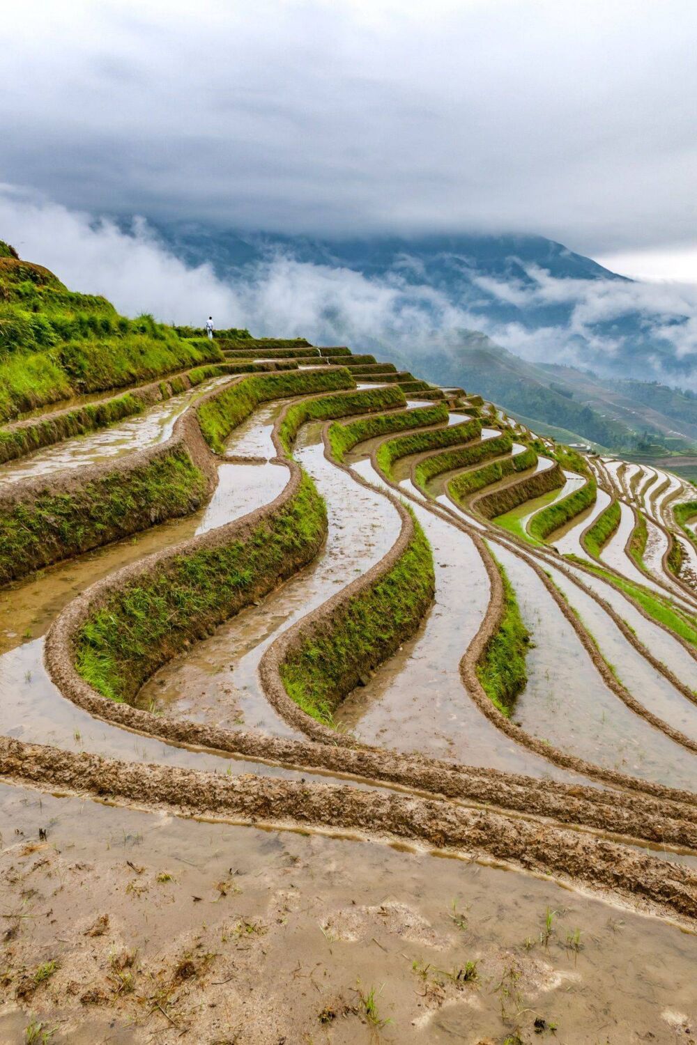 桂林龙脊梯田旅游详细攻略(自助游必看秘籍）