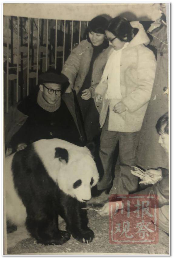 深壹度：四川大熊猫152年寻家记