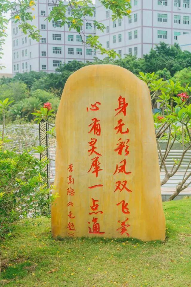不容错过，深圳各有特色免费的十大主题公园