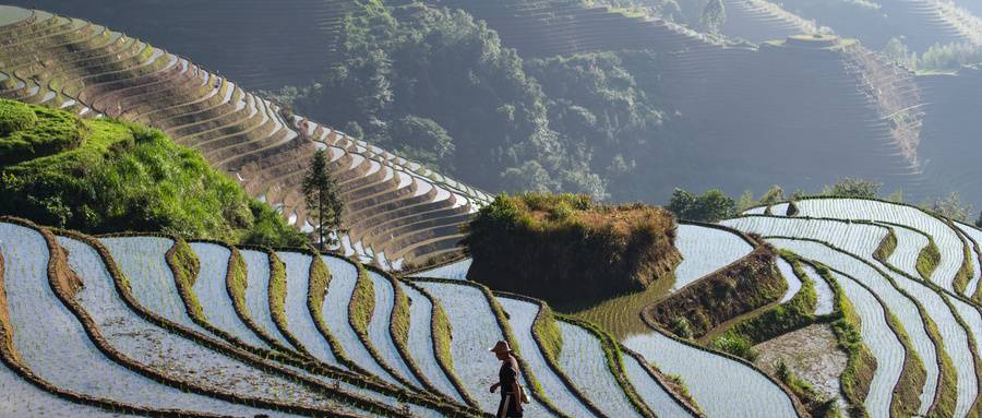 桂林龙脊梯田旅游详细攻略(自助游必看秘籍）