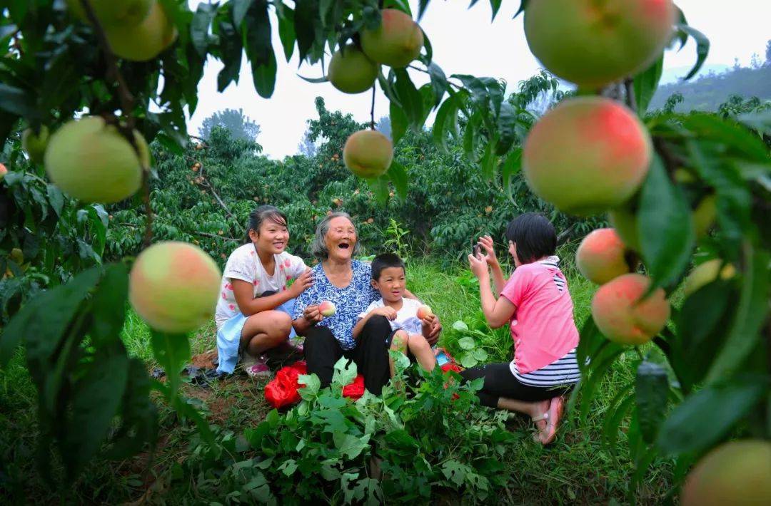 《长津湖》里提到的蒙阴 其实是这样的