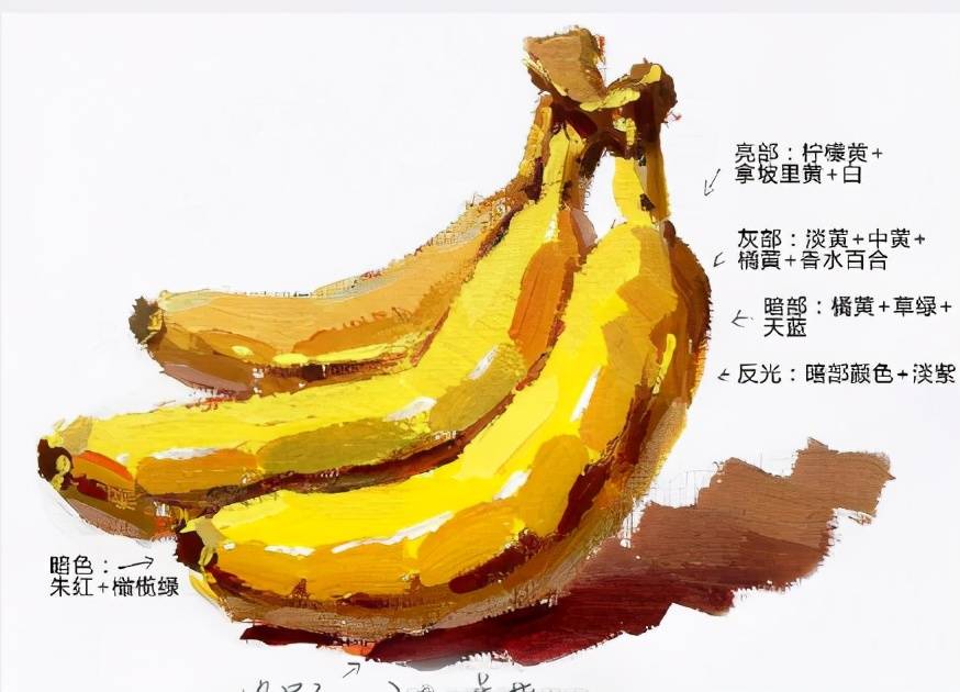 武汉209画室：色彩静物单体香蕉教学笔记