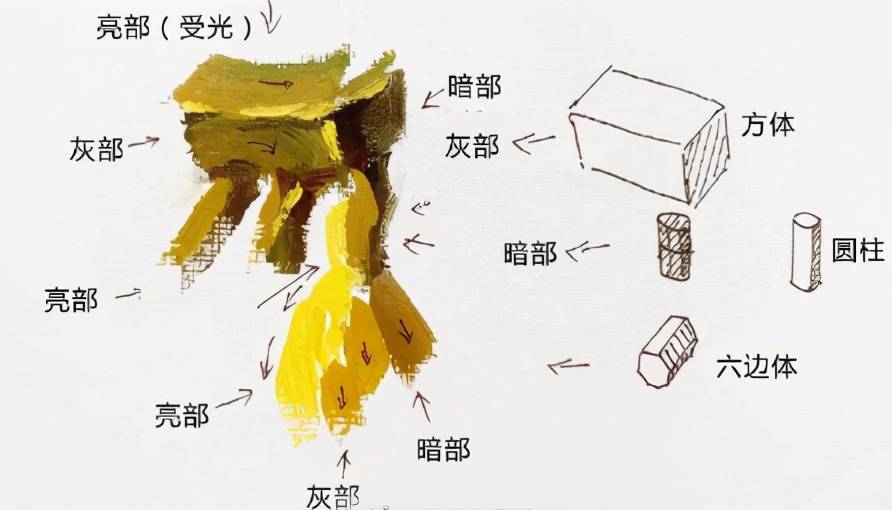 武汉209画室：色彩静物单体香蕉教学笔记