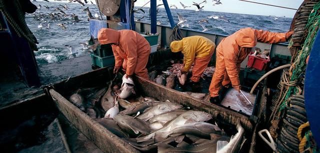 纽芬兰渔场已没落，仍被列入世界四大渔场，教科书为何不改写？