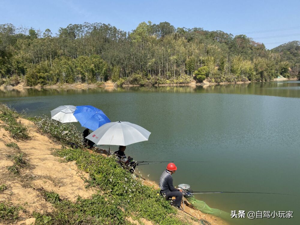 广州这5个地方真是绝了！不要门票，可以露营，还可以免费钓鱼哦