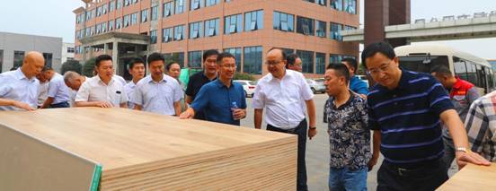 桑墟镇喜获“中国实木厚芯地板基材生产基地”