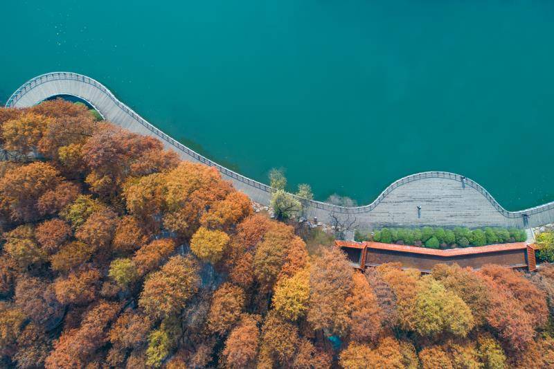 秋色斑斓正是游玩好时节 武汉首批公园“最美打卡点”等你来推荐