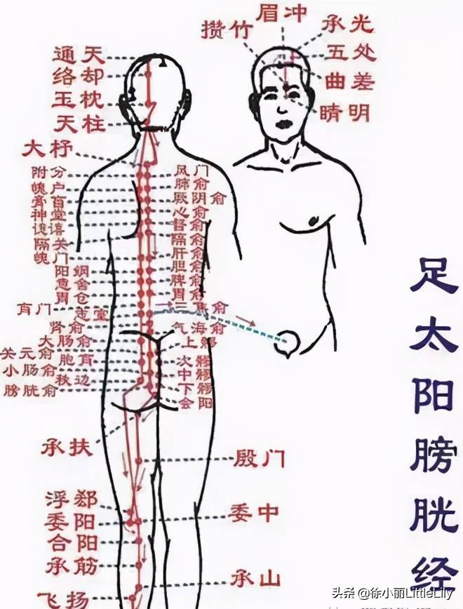 中医临床思维：人体处理水液代谢的生理过程和病理表现