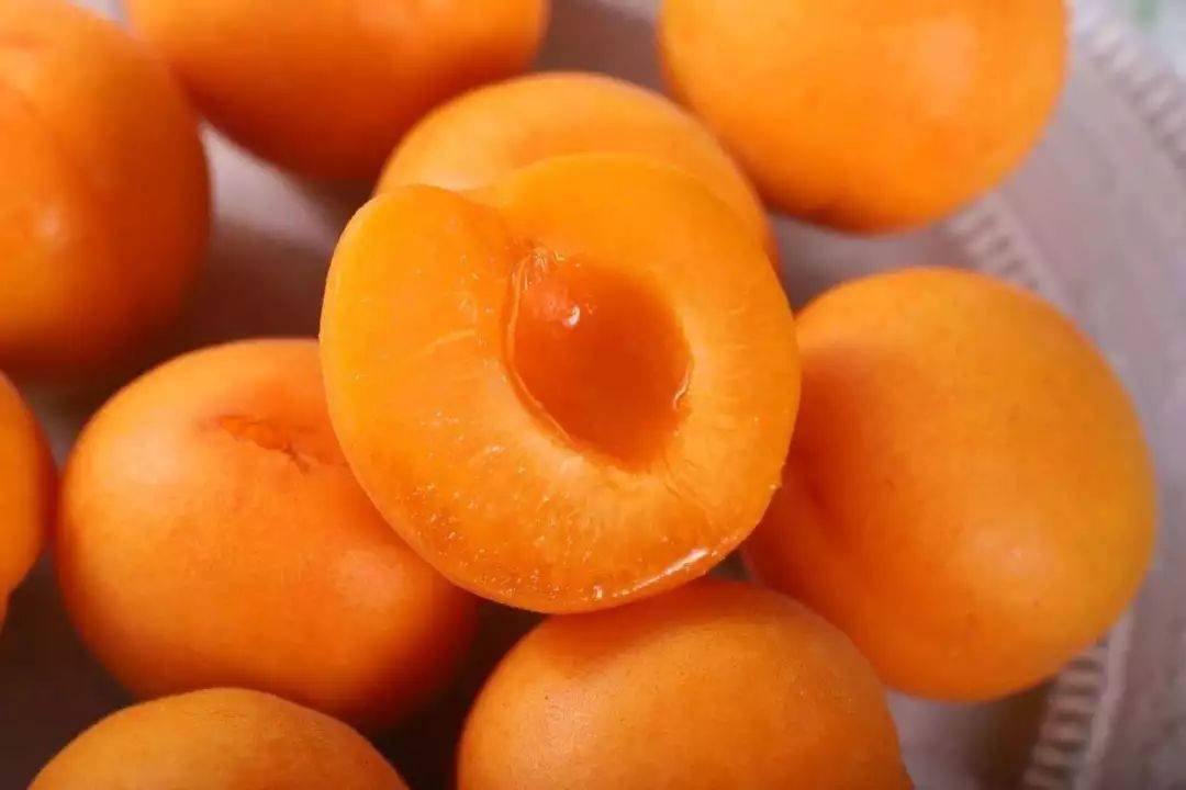 杏好有你，初夏解腻鲜果！多汁酸甜，令人口齿生津的大黄杏~