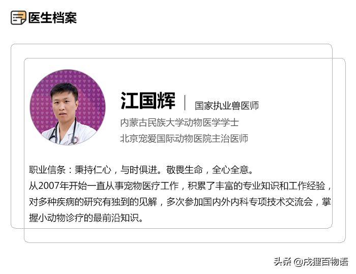 狗狗骨折了怎么办？看完这篇你就知道了