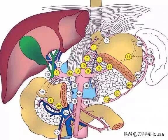 胃癌术后患者怎么复查才能高枕无忧？别乱搜了都给你整理好了！