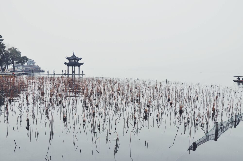 “上有天堂，下有苏杭”冬日旅游杭州苏州见闻