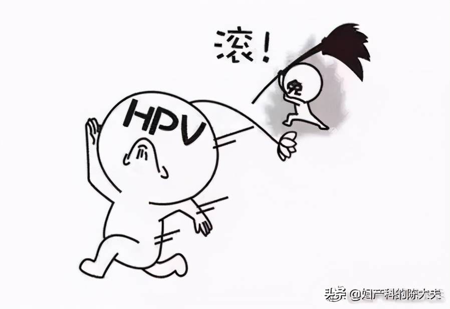 「今日陈大夫营业之」关于HPV感染的复查时间，我有话要说