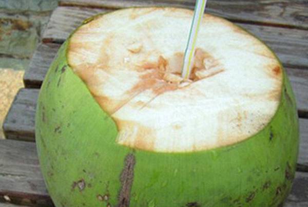怎么打开青椰子壳 新鲜椰汁的功效与作用是什么
