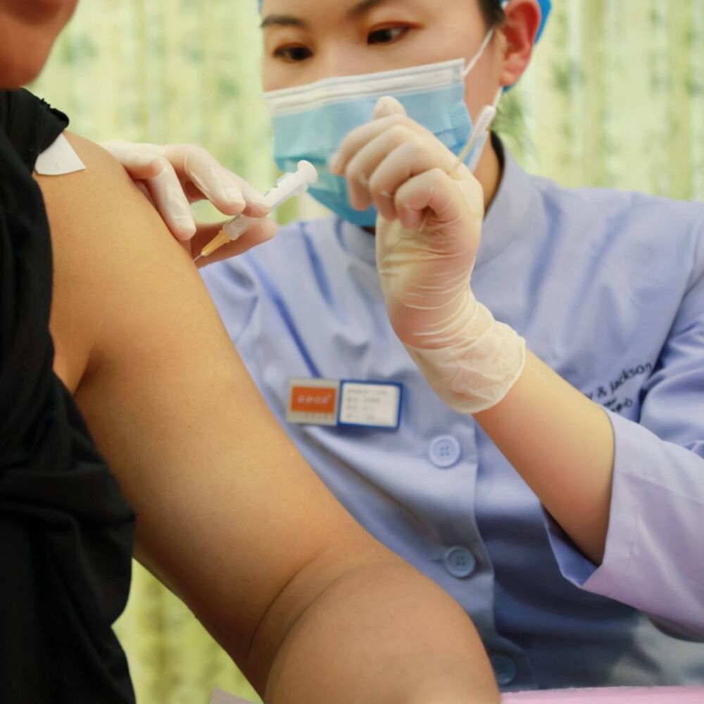 中国狂犬疫苗使用量世界第一。专家：消灭狂犬病，关键是把针打到狗身上