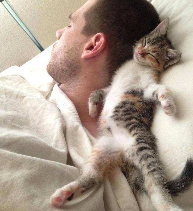 猫咪睡觉的位置，其实和主人有关，你家猫喜欢睡在哪里？
