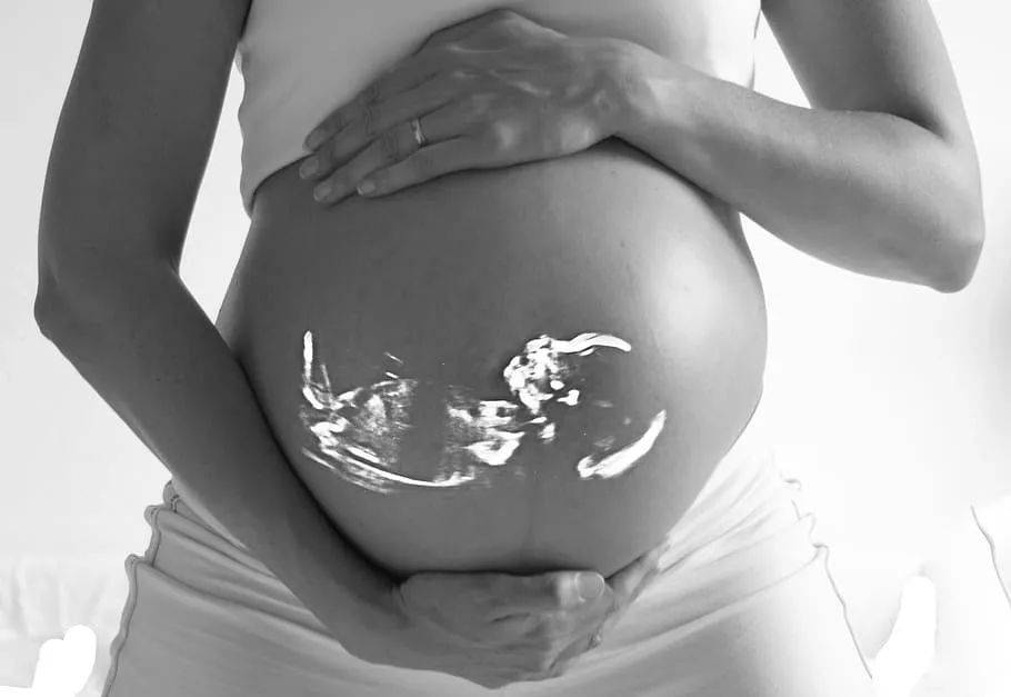 怀孕8周，只见胎芽，不见胎心：是什么原因造成令人遗憾的胎停？