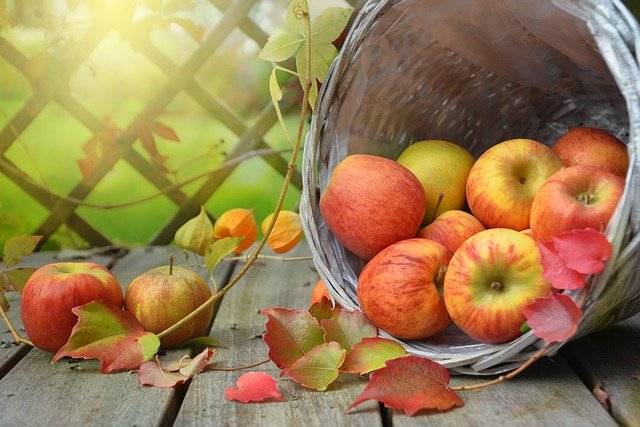 又小又酸的野苹果是如何变“甜美”，成为“水果之王”的？