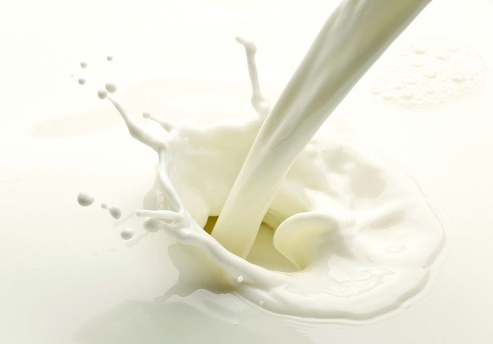 三聚氰胺事件13年后，牛奶更安全了吗？