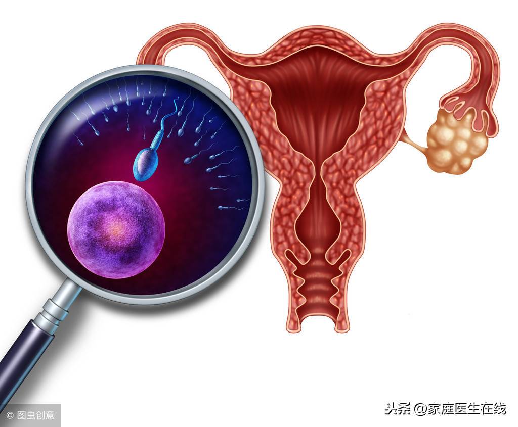 切除输卵管对身体有什么影响？这是女性必备知识点