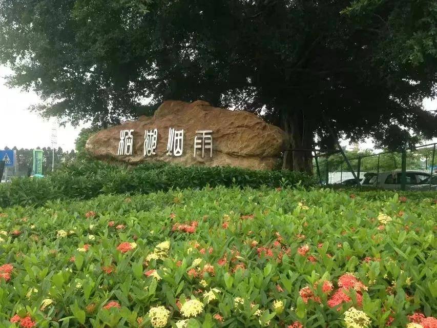 东莞松山湖风景区印象，松湖烟雨、松湖花海、适合骑行、风景又美