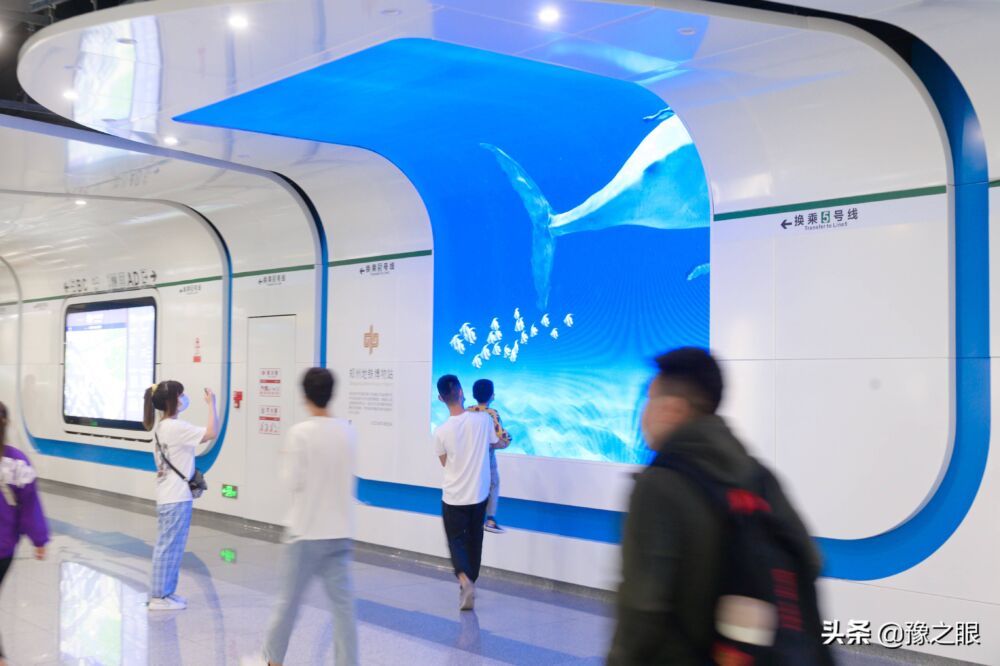 “蓝鲸游进地铁站”郑州地铁七里河站成网红打卡圣地